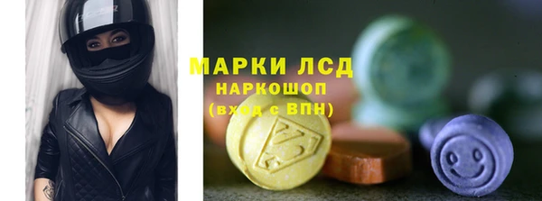 ГАЛЛЮЦИНОГЕННЫЕ ГРИБЫ Осинники