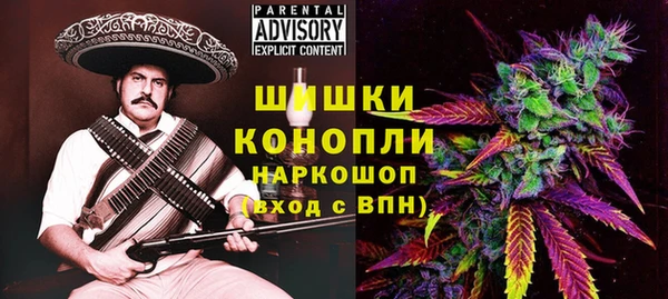 ГАЛЛЮЦИНОГЕННЫЕ ГРИБЫ Осинники
